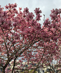 ��̤���ж�������ȵ㡣