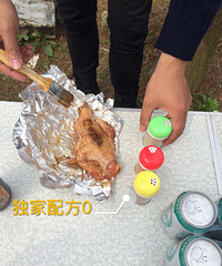 ȼ�հ�����