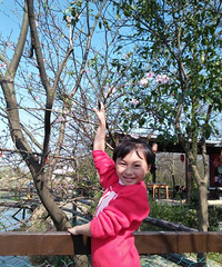 ũ�������Ҵ���