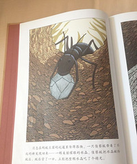 ����ֻ�����ϡ�����һ���������ḻ�Ļ汾