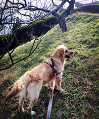 ������һ����