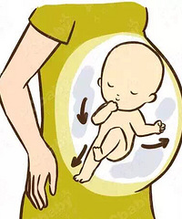 [����]��̥�����Կ����ӽ���