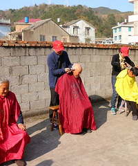 ��ֲ�и����������ͷ�Ļ�����ޣ�