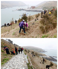 50����Բ�����ӿ�ĺ��ˣ�ȥһ��ɽ������ֲ��