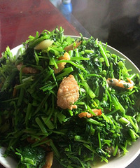 ���Ի���̨�ݡ�+ ������ϧ���Ҹ����ֿɵ�