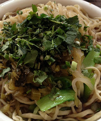 �Գ��˰��鼦��