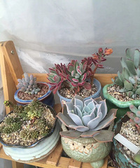 ���������Ȧ��һ����+����Ҳ���