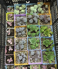 ���������ⶼ��ʲô��������˵��ͨ�������ã�