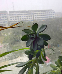 �����Ķ�������ô�賤�ˣ�