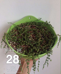 ���������Ȧ��һ����+�ҵ���ͷ��