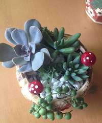 ���������Ȧ��һ����+�ҵ���ͷ��