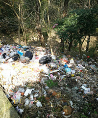 [����]3��12�շ�ɽ�����������