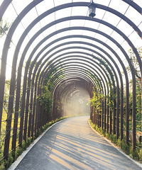 ��������ļҹ��ҹ��С���