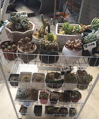 ����������һ���� ��Ҳ��ɹɹ�ҼҵĶ����