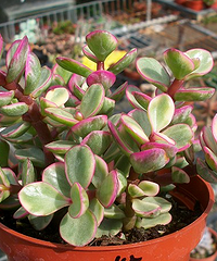 ��ÿ��һ��������֮��