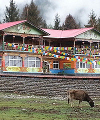 �л����ȥ����