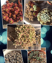 +��������