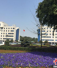 ��ɳ���������Բ�Χǽ����԰ �������Ϊ�����㡱