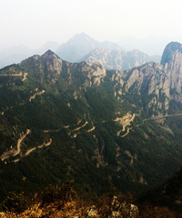 ͽ����Խ��