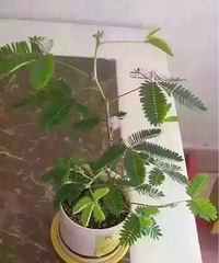 ��Һ��߲�Ҫ����������һ�費Ҫ���ĺ��߲�