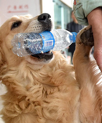 ���� ������ƿ����ô�н���ѽ��