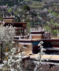 �����ؾȼ�4����ĸ��