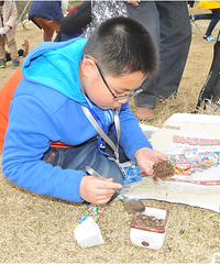 �Ĵ��������⣬����������ɫ