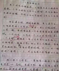 ʮ�����Լ���Сѧ���������ľ�ѡ���������