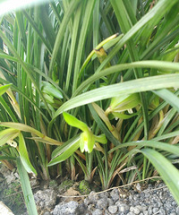 �������ҵ��������������迪��45�䣡