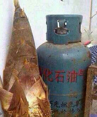 �����еĺ���ĸ��