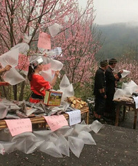 �㶫ɽ��������һ��10Ԫ���ο�����