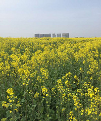 ���ſڵ��Ͳ˻�