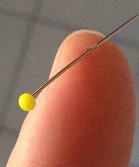 Сʱ����������Ķ������ٸ�צ