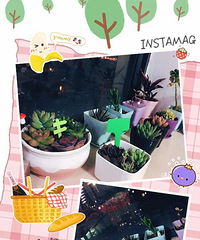 ���������Ȧ��һ�������������еĶ��⻨԰