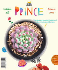 ���������Ȧ��һ�������������еĶ��⻨԰