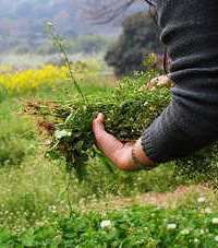 [��ů����]·�ߵ�Ұ�˿ɱ��Ҳ�����~