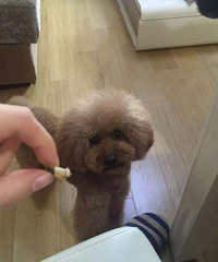 ��ɹ���+double 3 �ҵĹ�