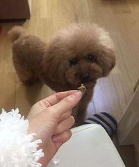 ��ɹ���+double 3 �ҵĹ�