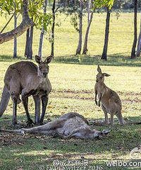 �����������豻����§ס�����ᱦ��