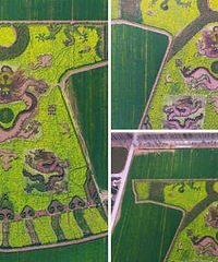 �Ͼ�ũ���Ͳ˵��ֳ������ۡ�ͼ�������и����Ϊ��