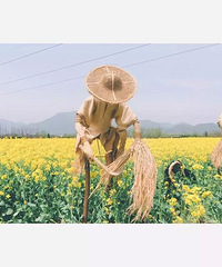 ��װ���