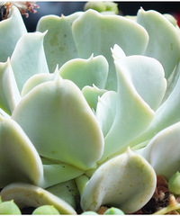 ΢���µ����⡣��NO.2