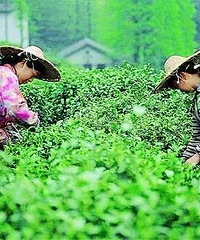 ���������ƣ����α��ʶ