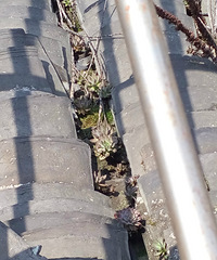 ��ǰ�����������£��Ҽ��ݶ��Ķ��ⶼð�����ˣ�