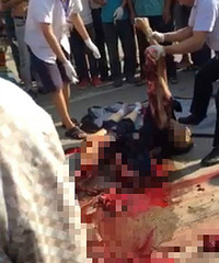 ����һ������������µ����ꡭ��