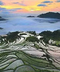 这个季节很是适合去梯田看看,浙江7处梯田春光无限!