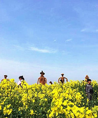 【出游推荐】清明小长假去哪里踏春?台州这些地方适合春游!