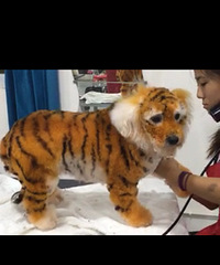 ������Ҳ��ţ�ģ����ĸ��ϻ�һ��