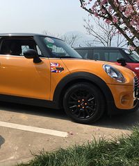 �������mini���ѻ�