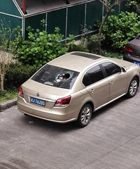 �߿����� ������